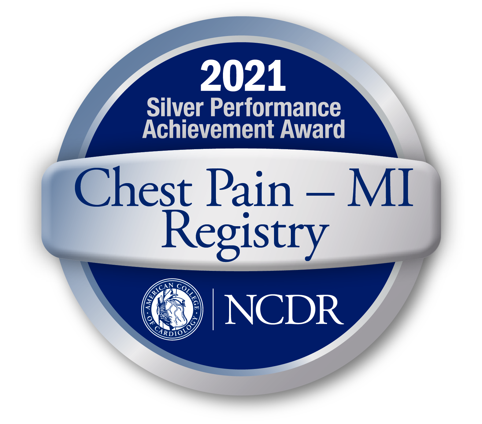 Silver Performance Achievement Award