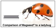 Magseed is comparable in size to a ladybug