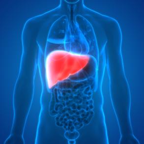 Liver tumors can lead to liver cancer, which may result in surgery to remove the liver tumor.