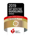 American Heart Association/American Stroke Association’s Get With The Guidelines® Target: Stroke Honor Roll Gold Plus Quality Achievement Award 