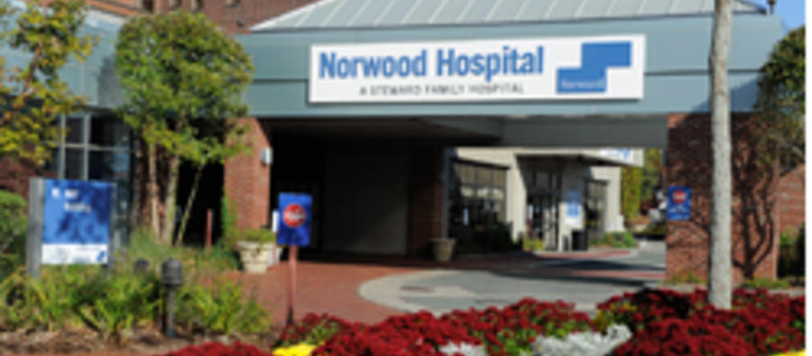 steward health care norwood hospital